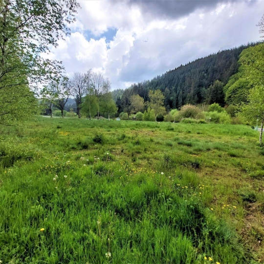  ESPACES IMMOBILIER : Terrain | SAINT-CIRGUES-EN-MONTAGNE (07510) | 0 m2 | 59 000 € 