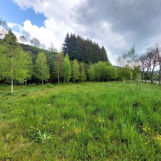  ESPACES IMMOBILIER : Terrain | SAINT-CIRGUES-EN-MONTAGNE (07510) | 0 m2 | 59 000 € 