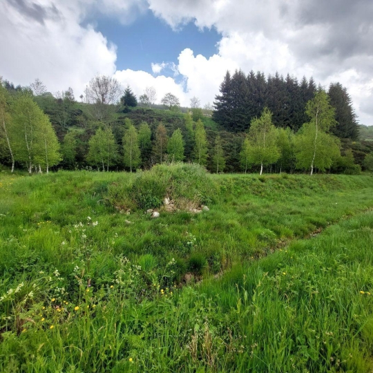  ESPACES IMMOBILIER : Terrain | SAINT-CIRGUES-EN-MONTAGNE (07510) | 0 m2 | 59 000 € 