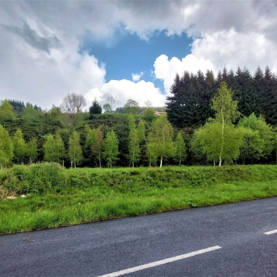  ESPACES IMMOBILIER : Terrain | SAINT-CIRGUES-EN-MONTAGNE (07510) | 0 m2 | 59 000 € 