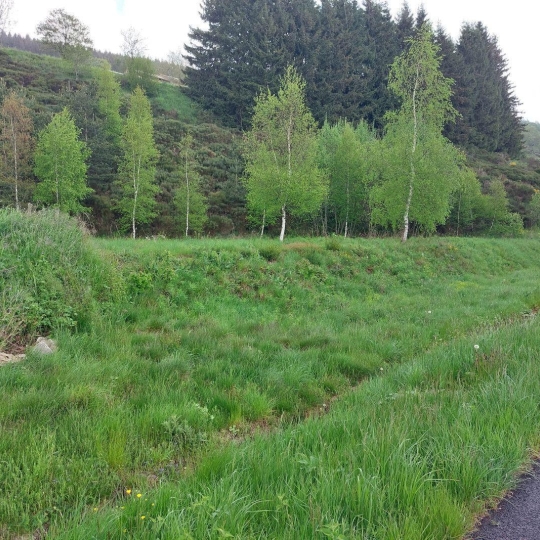  ESPACES IMMOBILIER : Terrain | SAINT-CIRGUES-EN-MONTAGNE (07510) | 0 m2 | 59 000 € 