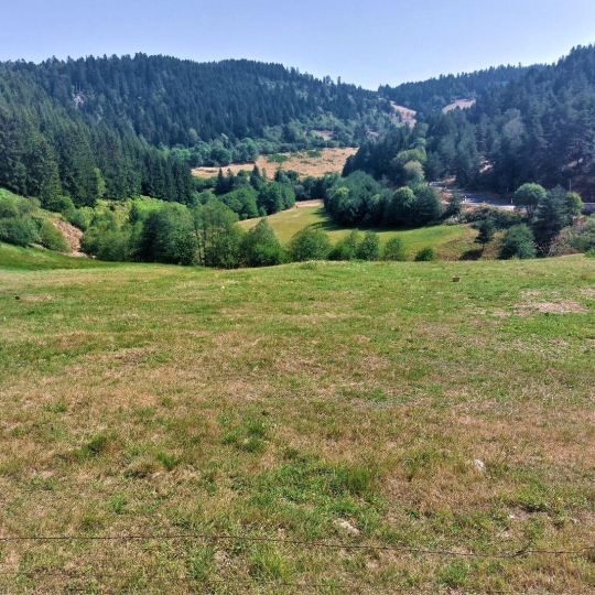 ESPACES IMMOBILIER : Terrain | MAZAN-L'ABBAYE (07510) | 1685.00m2 | 32 000 € 