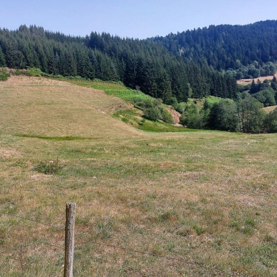  ESPACES IMMOBILIER : Terrain | MAZAN-L'ABBAYE (07510) | 1 685 m2 | 32 000 € 