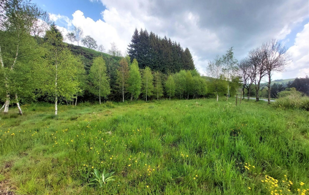 ESPACES IMMOBILIER : Terrain | SAINT-CIRGUES-EN-MONTAGNE (07510) | 0 m2 | 59 000 € 