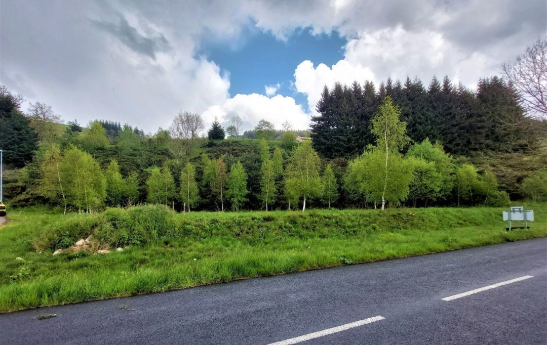 ESPACES IMMOBILIER : Terrain | SAINT-CIRGUES-EN-MONTAGNE (07510) | 0 m2 | 59 000 € 