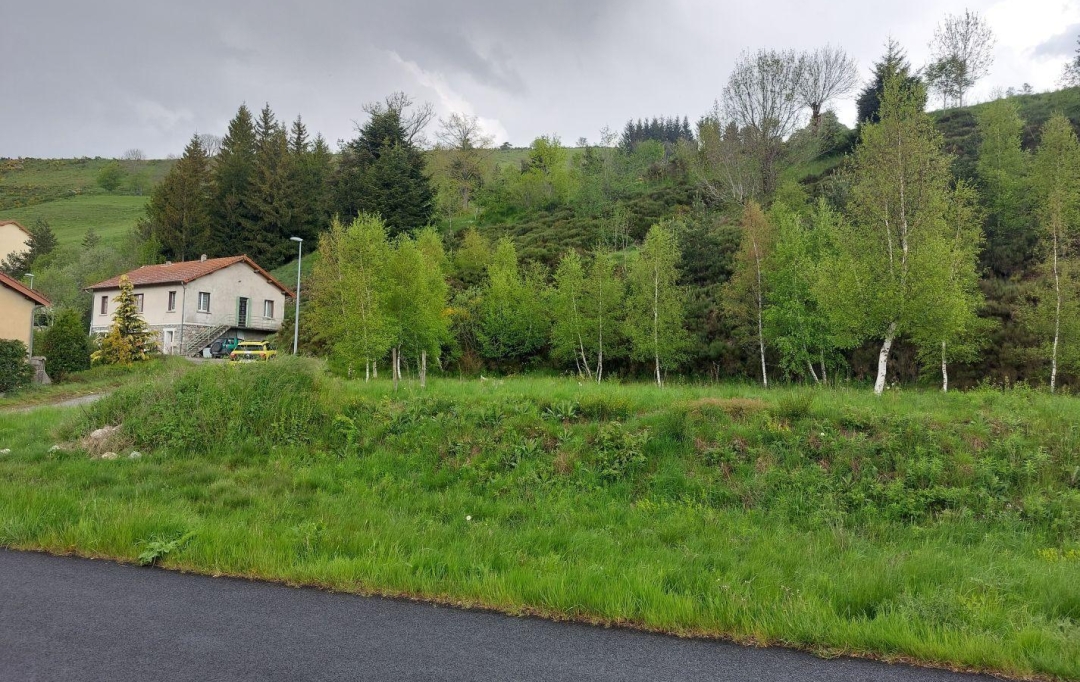 ESPACES IMMOBILIER : Terrain | SAINT-CIRGUES-EN-MONTAGNE (07510) | 0 m2 | 59 000 € 