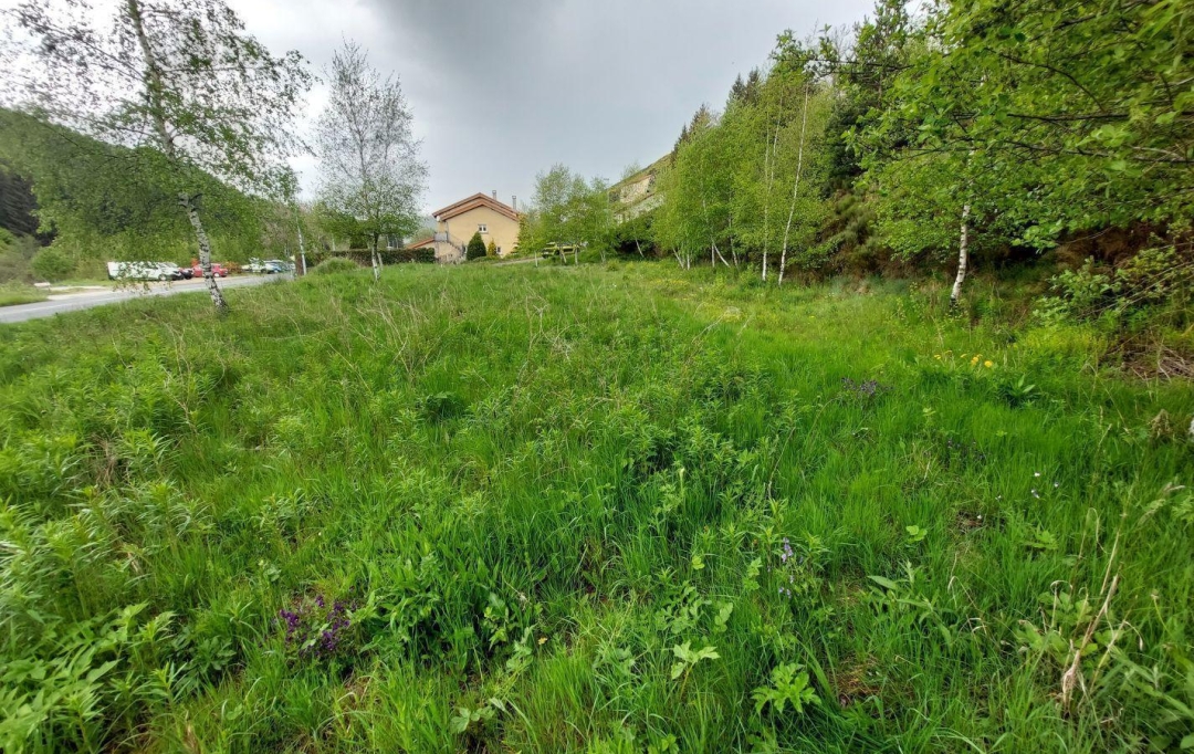 ESPACES IMMOBILIER : Terrain | SAINT-CIRGUES-EN-MONTAGNE (07510) | 0 m2 | 59 000 € 