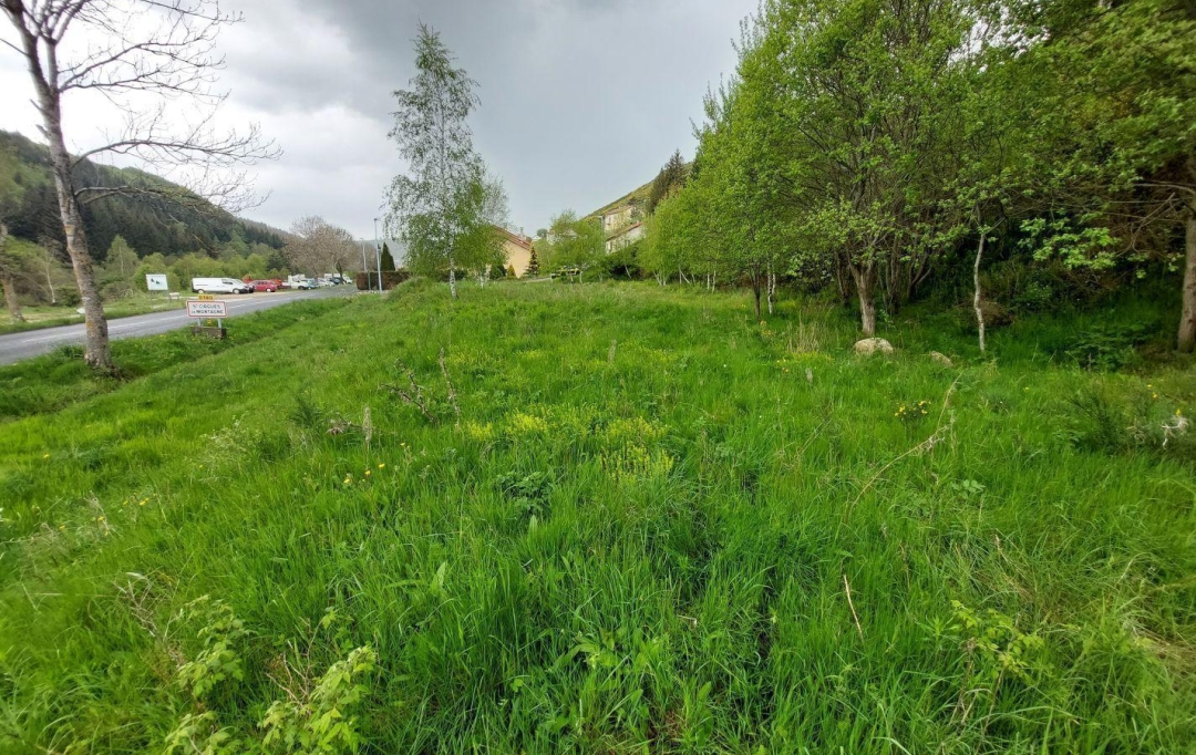 ESPACES IMMOBILIER : Terrain | SAINT-CIRGUES-EN-MONTAGNE (07510) | 0 m2 | 59 000 € 