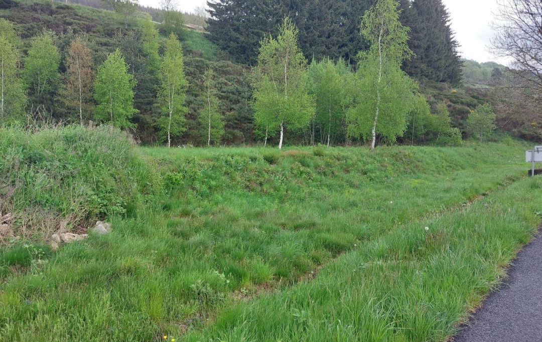ESPACES IMMOBILIER : Terrain | SAINT-CIRGUES-EN-MONTAGNE (07510) | 0 m2 | 59 000 € 