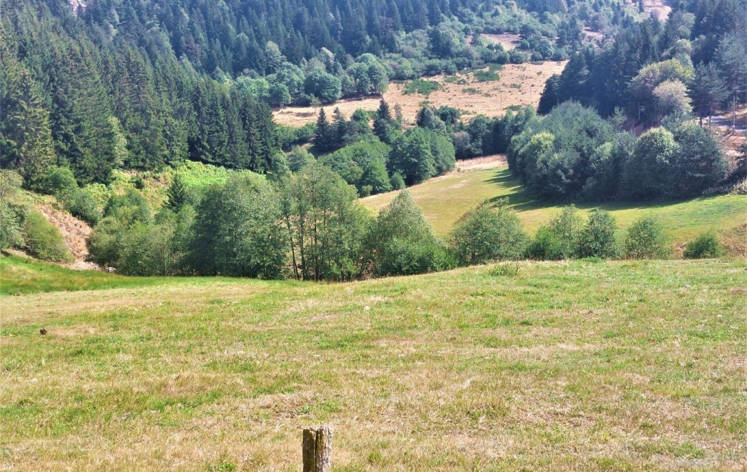 ESPACES IMMOBILIER : Terrain | MAZAN-L'ABBAYE (07510) | 1 685 m2 | 32 000 € 