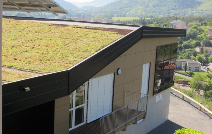 ESPACES IMMOBILIER : Building | PRIVAS (07000) | 800 m2 | 1 800 000 € 
