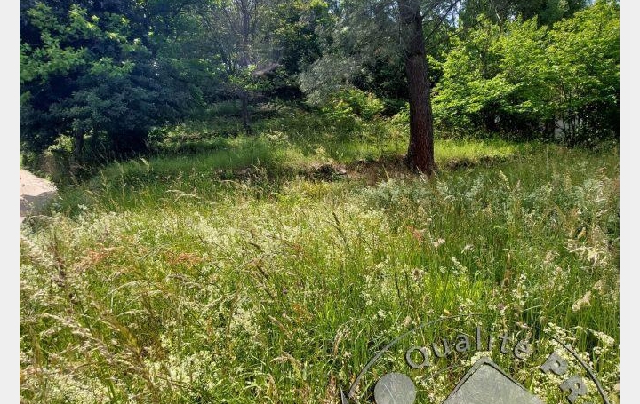 Terrain LABEGUDE 29 500 € Terrain LABEGUDE 29 500 €