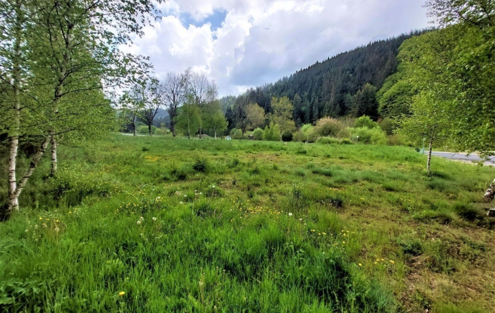  ESPACES IMMOBILIER Ground | SAINT-CIRGUES-EN-MONTAGNE (07510) | 0 m2 | 65 000 € 