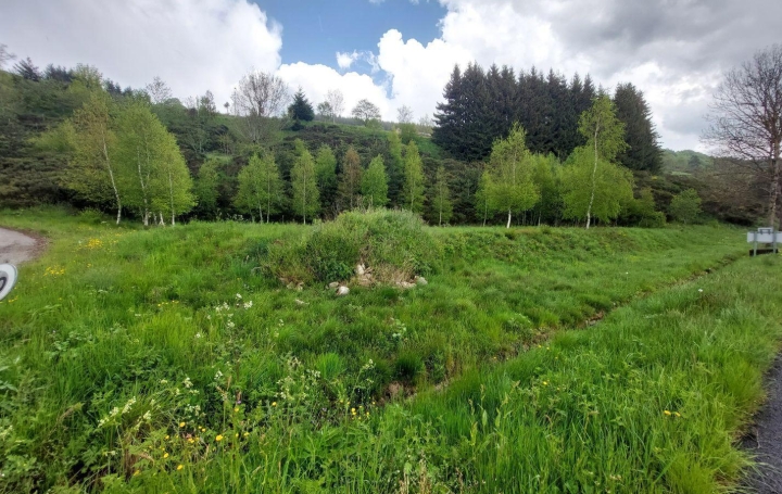  ESPACES IMMOBILIER Terrain | SAINT-CIRGUES-EN-MONTAGNE (07510) | 0 m2 | 59 000 € 
